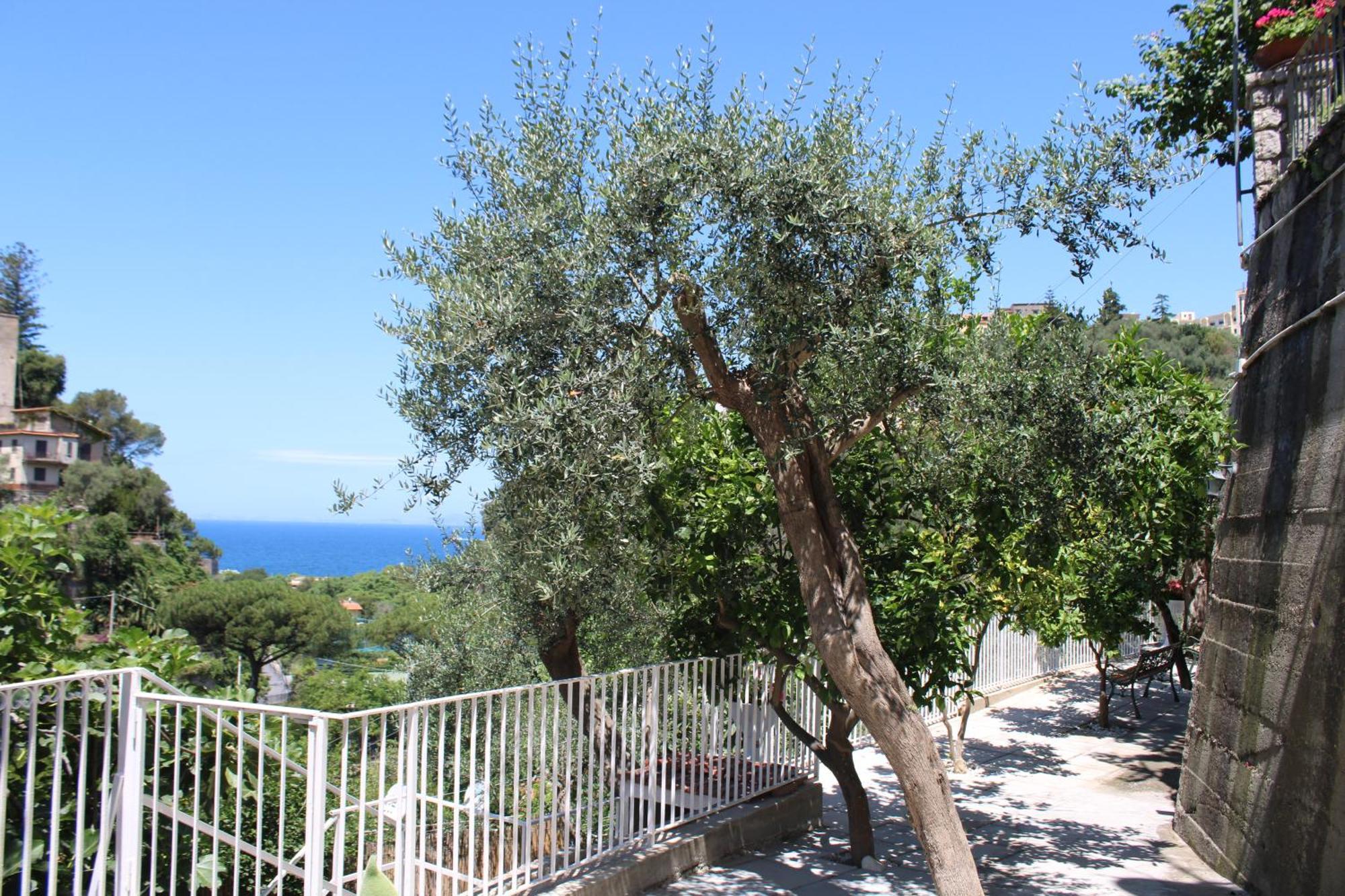 La Casetta Di Asia Vico Equense Exterior photo